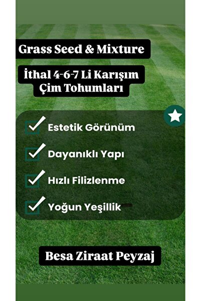 Genel Markalar Çok Yıllık Çim Tohumu 20Kg Uzun Ömürlü 7'lı Karışım Gölge ve A...