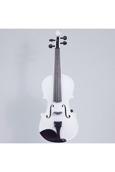 Depox IdeallStore® wooden classical violin, size 4/4, two bows, white, case included