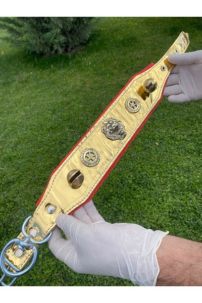 Sürmeli Tasma Puppy Kangal Dog Collar - Gold Series with 2 Bells - Real Leather
