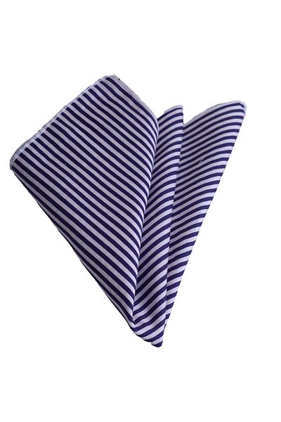 Exve Exclusive Navy Blue White Striped Cotton Woven Collar Handkerchief