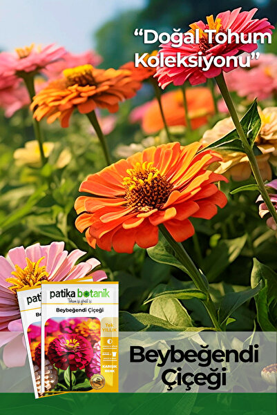 GüçlüTedarik 30 Adet Beybeğendi (zinnia) Çiçek Tohumu