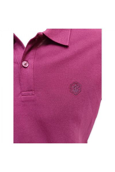 lumberjack Ct953 101079283   Ανδρικό μπλουζάκι Basic Polo Purple