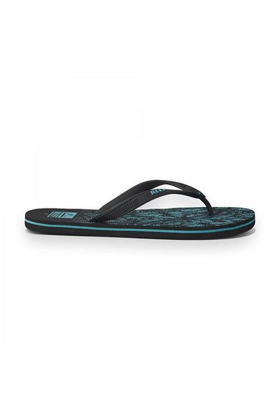 Reef Seaside Prints - Aquifier Palm