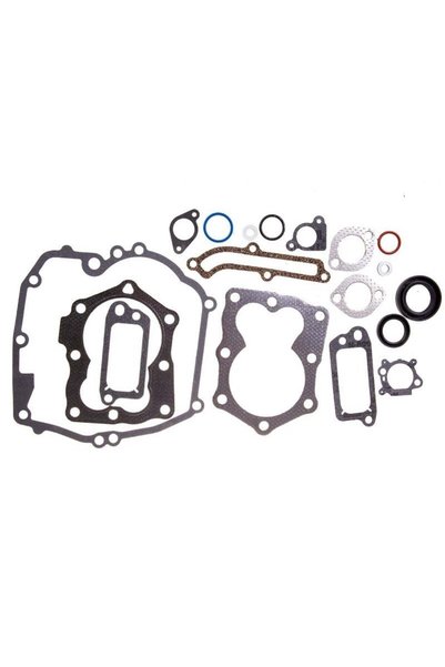 Briggs&Stratton B590508 Conta Takımı - B&S 625