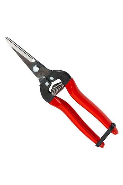 Ars 190mm Fruit Picking Scissors - 300l Capacity