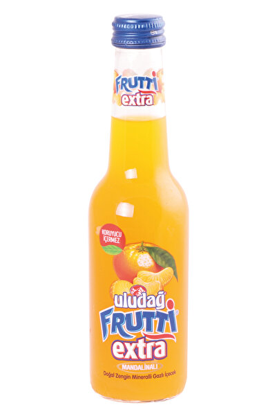 ZAYKA Uludağ Frutti Extra Mandalina 250 Ml