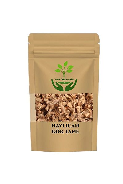 bitki diyarı Havlıcan Tane (Alpinia Officinarum) 50Gr