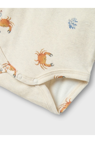 name ıt Nbmfapio Ls Body