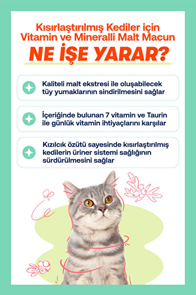 BioFeline Tüy Dökülme Engelleyici, Tüy Yumağı Ve Kusma Önleyici Multivitamin Kısırlaştırılmış Kedi Maltı Macun 30 gr Deneme Boy | Tüy Yumağı Macunu | Anti Hairball | Malt Paste