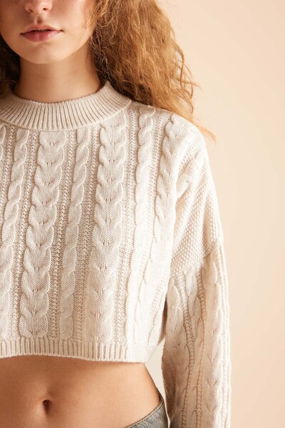 DeFacto Strickpullover mit Rundhalsausschnitt – Coool Regular Fit T4518AZNS