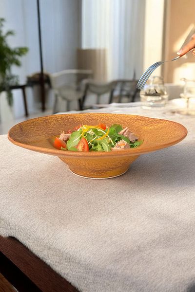 İREA PORSELEN Ruw Savana 24cm Porcelain Pasta Plate and Salad Plate