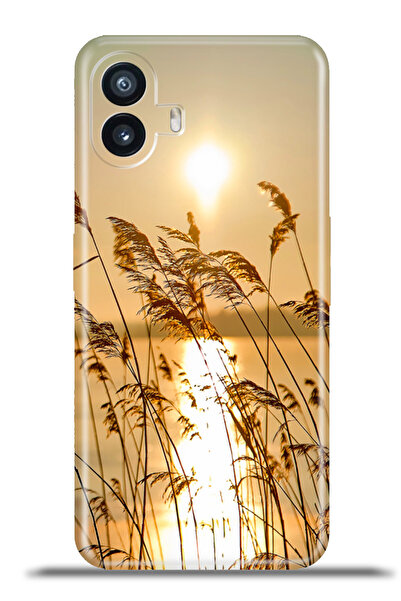 NOTHING Phone 2 Uyumlu Kılıf Kapak Esnek Silikon Kamera Koruma 4k Desenli - G...