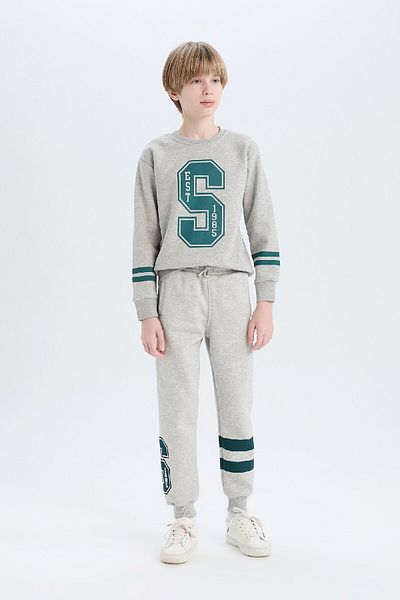DeFacto Boy's Crew Neck Printed Thick Sweatshirt D4342A824Wn