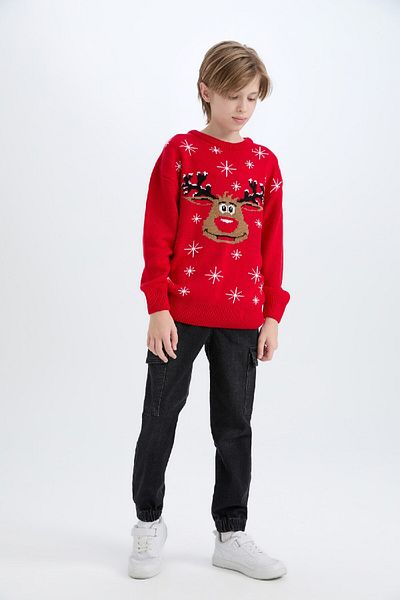 DeFacto Boy's Christmas Themed Crew Neck Knitwear Sweater D5991A824Cw