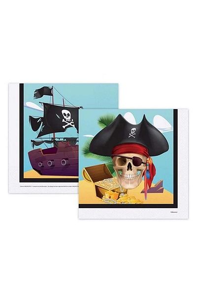 Big Party Pirate Themed Party Set 56 Pieces