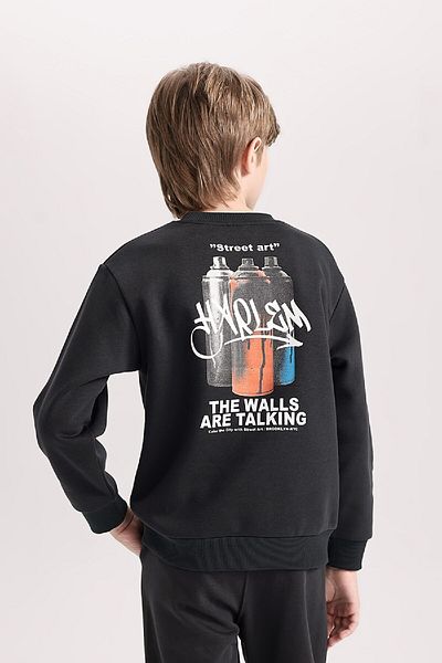 DeFacto Boy's Crew Neck Back Printed Thick Sweatshirt D4352A824Wn