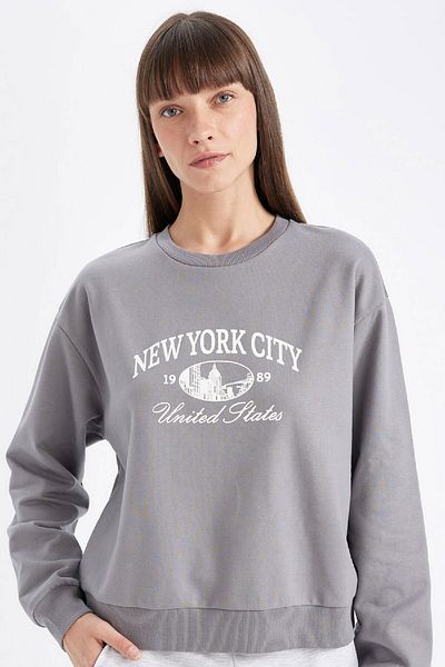 DeFacto Bedrucktes, dünnes Sweatshirt mit normaler Passform und Rundhalsausschnitt D5929AX24AU