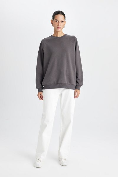 DeFacto Übergroßes, gerades, dickes Basic-Sweatshirt mit Rundhalsausschnitt V2697az24wn