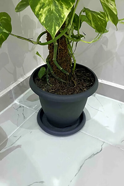 ToXA 5 Litre Ø26x19cm Tabaklı Mat Plastik Orta Boy Yuvarlak Saksı Villa No6 Antrasit Gri