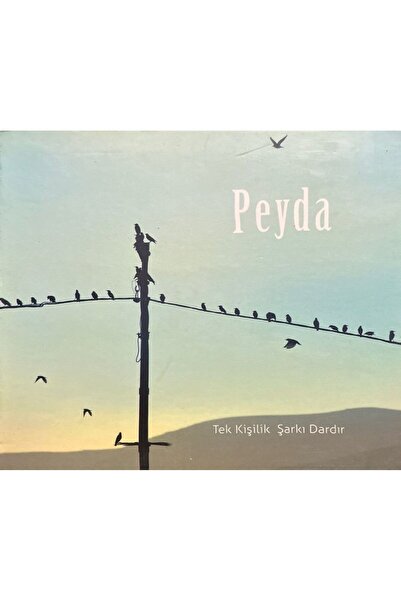 Plak İstasyonu Cd Peyda Single Song Is Dardır Cd