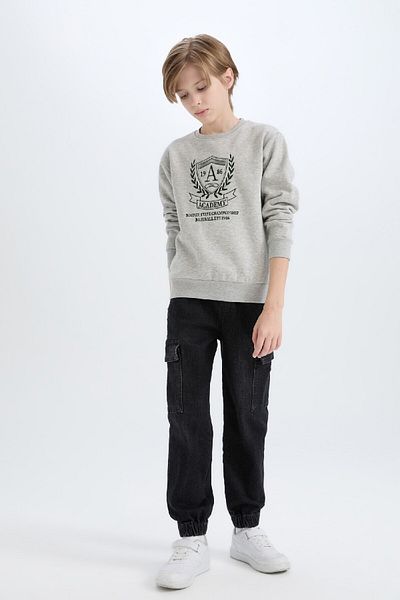 DeFacto Boy's Crew Neck Printed Soft Furry Inside Sweatshirt D6223A824Cw