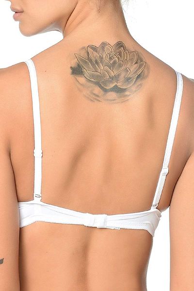 Orkide 2000 Sutien de bază neacceptat