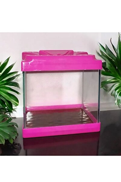canlipetshop Kare Mini Akvaryum PEMBE Renk 20x20x15 cm