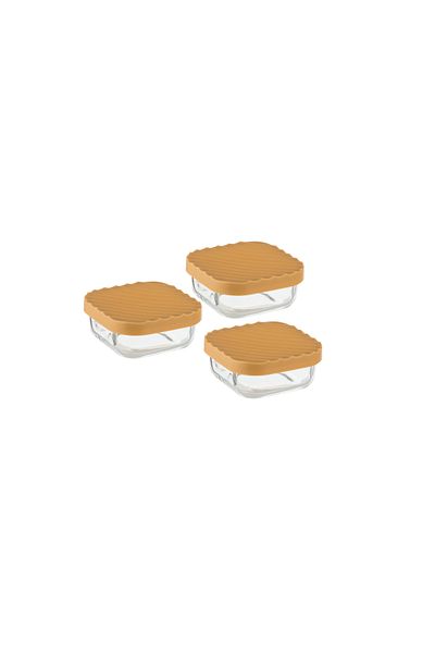 Dania 3-Piece Glass Food Storage Container Set with Microwaveable Plastic Lid