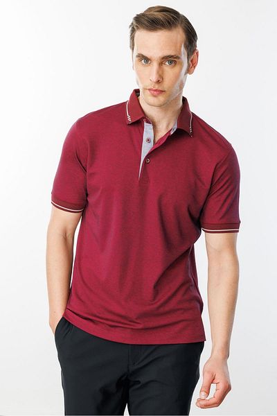 Desen Triko Ανδρικό μπλουζάκι Polo Collar and Sleeve Knitwear Claret Red