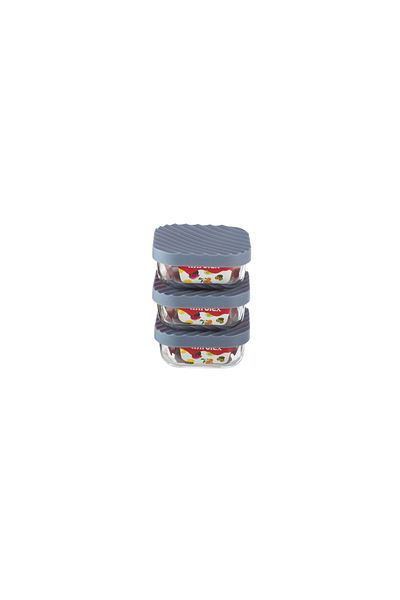 Dania 3-Piece Glass Food Storage Container Set with Microwaveable Plastic Lid