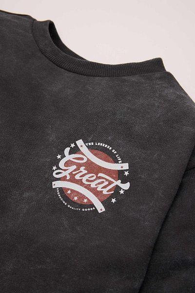 DeFacto Baby Boy Crew Neck Printed Washed Faded Effect Sweatshirt D4493A524Au
