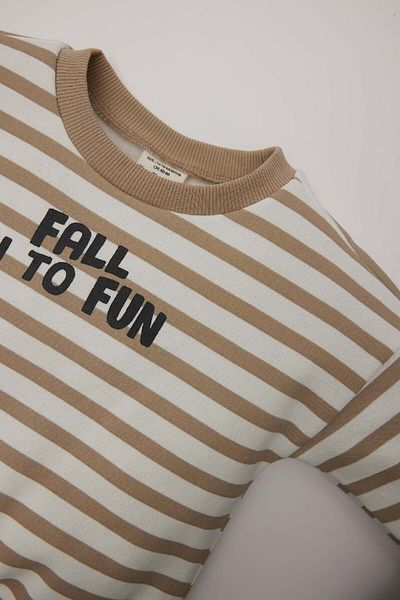 DeFacto Φούτερ Baby Boys Crew Neck με εμπριμέ μαλακό γούνινο ριγέ φούτερ D7583A524WN
