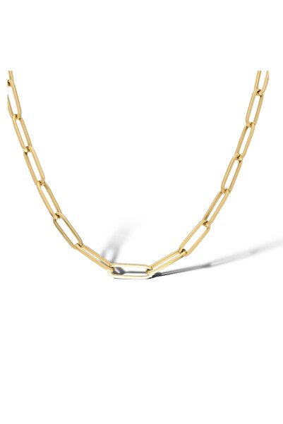 neslyaccessories Kuyumcu Serisi 14k Altın Işıltılı Büyük Oval Ataç Zincir Kolye