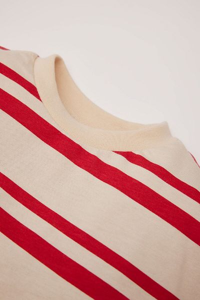 DeFacto Baby Boy Crew Neck Striped Long Sleeve T-Shirt D7738A525Sp