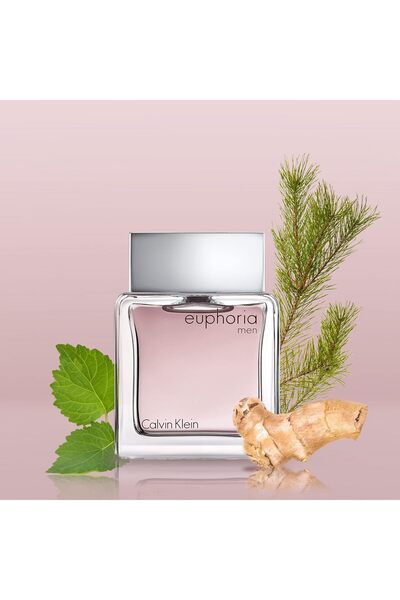 Calvin Klein Euphoria Eau de Toilette by Calvin Klein for Men, 100 ml