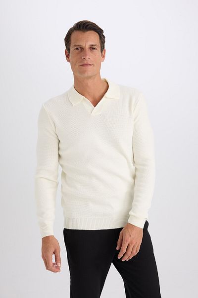 DeFacto Standard-Fit-Strickpullover mit normaler Passform und Polokragen D4046ax24wn