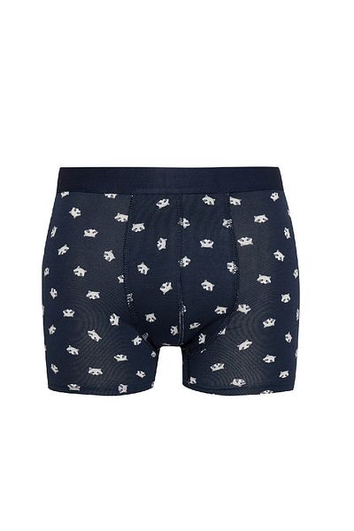 DeFacto Regular Fit Animal Printed Boxer 3 τεμαχίων E0047ax24cw