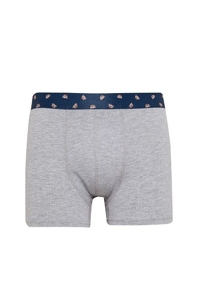 DeFacto Animal Printed 3 Piece Boxer Set - E0034ax24wn