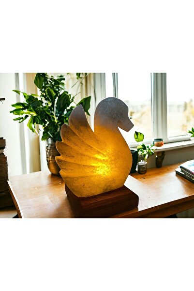 tuzdiyarim Davut yıldızı baskılı tuz lambası