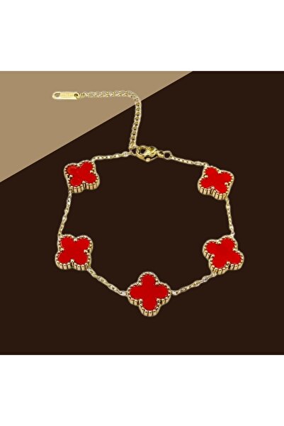 nokteria Steel Bracelet - 316L Stainless Steel, Water Resistant, Stylish and ...