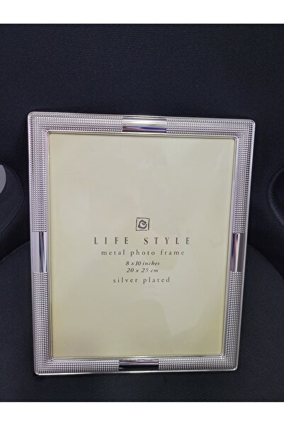 esdekor إطار معدني فضي مقاس 20 × 25 سم - هدية مزخرفة، صورة على طراز الحياة قط...