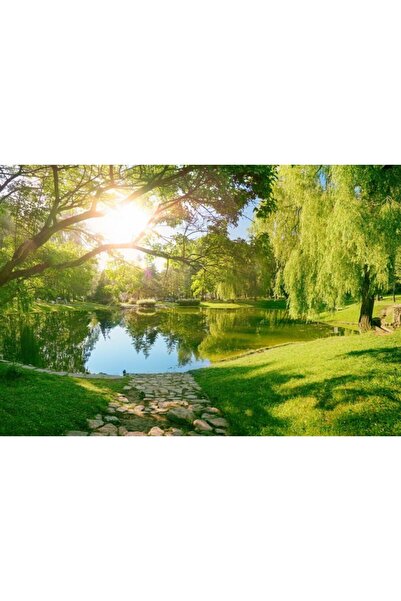 Zumzeria Tablou Canvas Frunziș verde de copaci în lumina soarelui care înconjoară lacul vara, 80x50cm