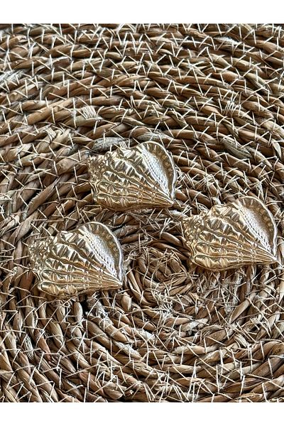 ODDA TASARIM ATÖLYESİ Marin Collectible Oyster Shell Model Extra Large Size Gold 3 Pcs Button Set