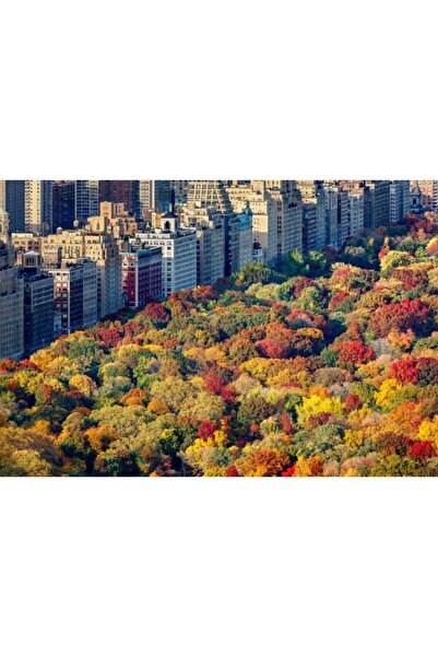 Zumzeria Tablou Canvas Aerial View Of Amazing Toamn Colors Of West Park, 80x50cm