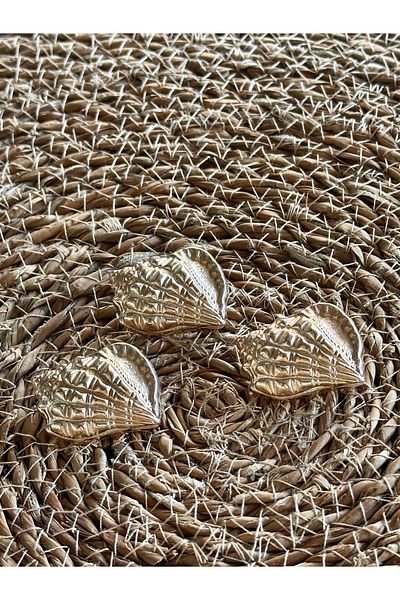 ODDA TASARIM ATÖLYESİ Marin Collectible Oyster Shell Model Extra Large Size Gold 3 Pcs Button Set