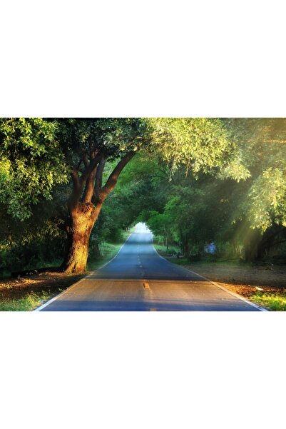 Zumzeria Φυσικό φόντο καμβά με θέμα τη διαδρομή μέσα στην όμορφη φύση, 80x50εκ.