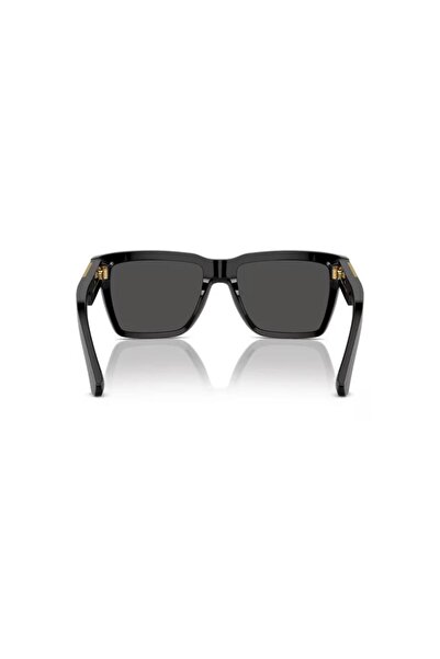 Dolce&Gabbana Dg 4465 501/87-black