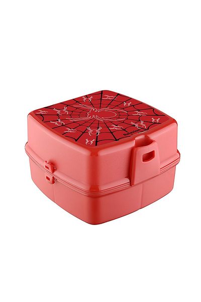 RKY SERENITY Relaxion 4 Compartment Lunch Box with Spoon and Fork and Lock - Food Storage Container - Lunch Box