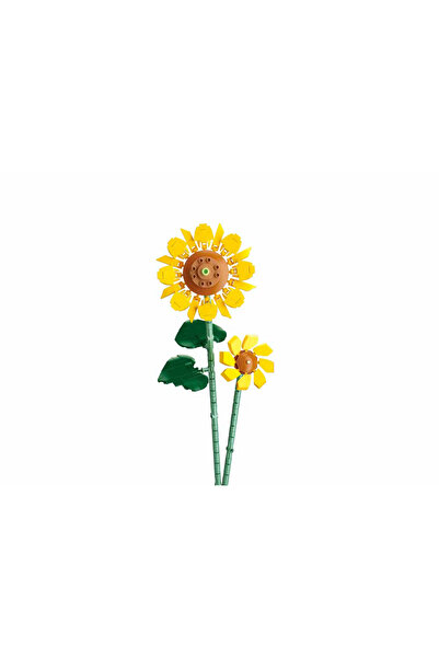 Sluban Set de constructii floarea soarelui, Sluban, 251 bucati