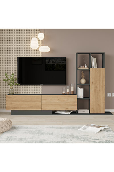 Robin Home Lotus Tv Ünitesi Kapaklı Kitaplık Raf Sepet-Antrasit